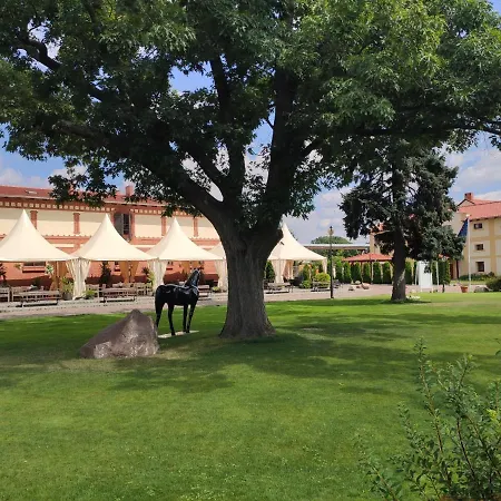 Sandro Silver & Spichlerz Antoniny 3* Leszno (Greater Poland)