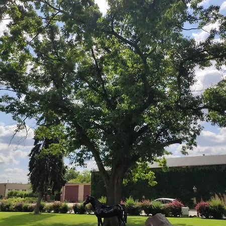 Sandro Silver & Spichlerz Antoniny Hotel 3*