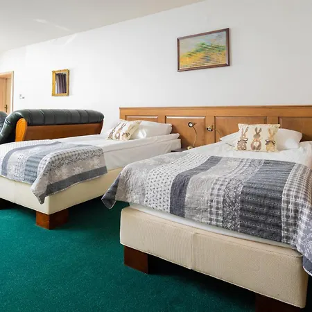 Sandro Silver Hotel Leszno (Greater Poland)