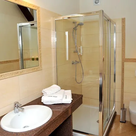 Hotel Sandro Silver & Spichlerz Antoniny Leszno (Greater Poland)