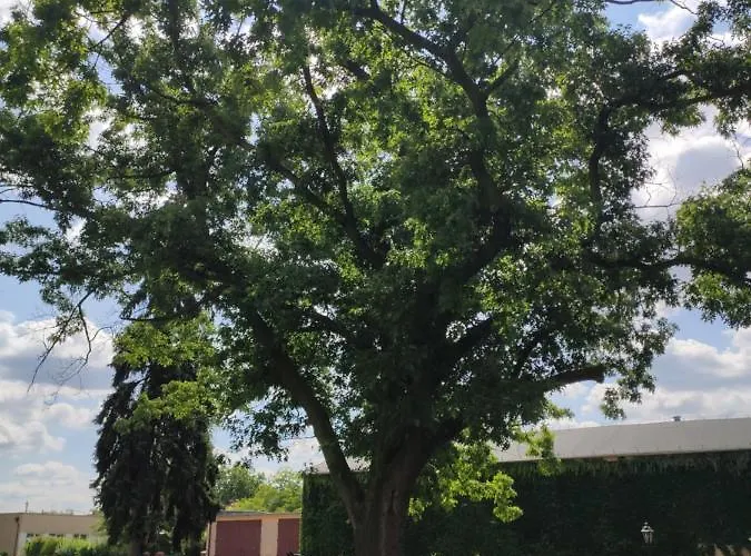 Sandro Silver & Spichlerz Antoniny 호텔 3*