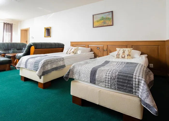 Sandro Silver & Spichlerz Antoniny Hotell Leszno (Greater Poland)